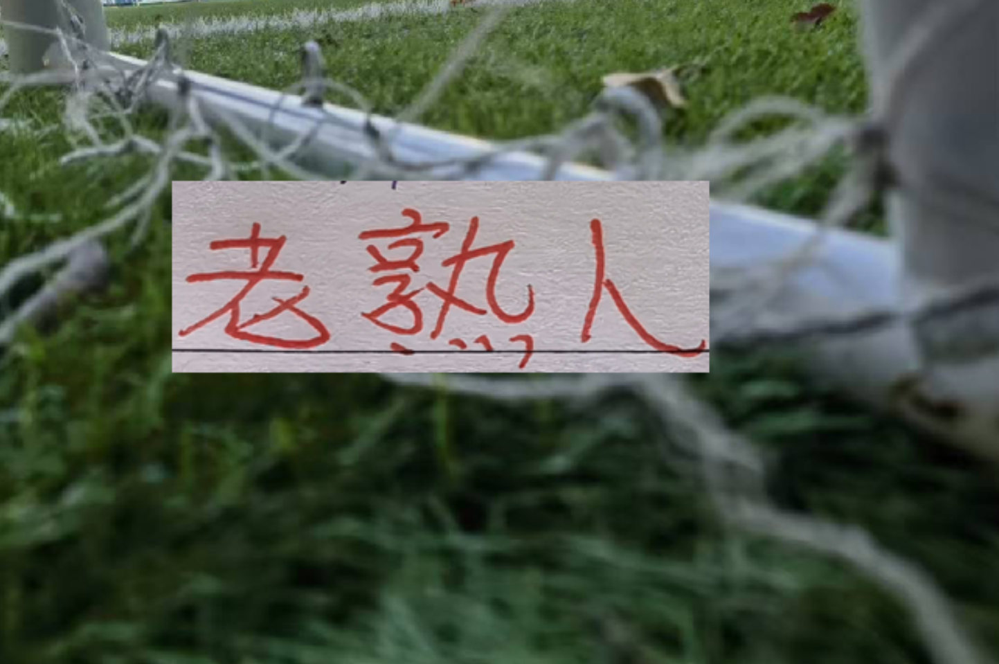 六月赛程！三大豪门再见老相识 申花遇马莱莱